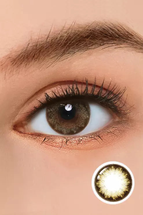 Aria Alpha2 Brown Toric
