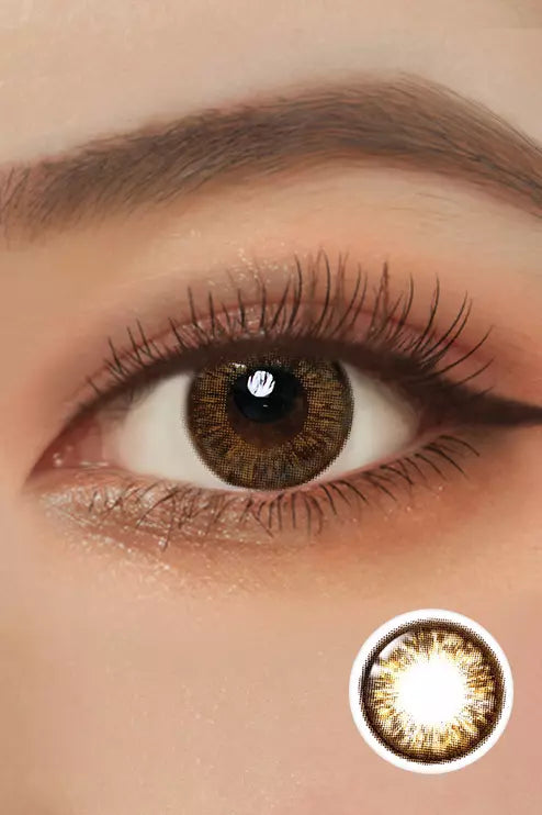 Aria Pi1 Brown Toric