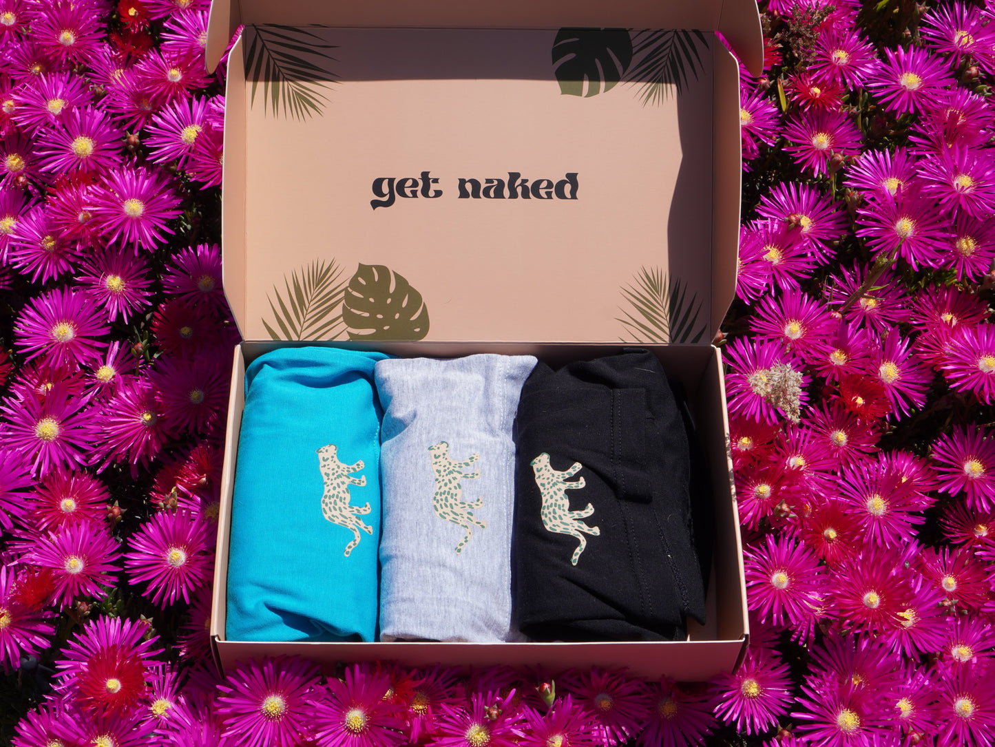 Organic Cotton Boxers (3 pack)