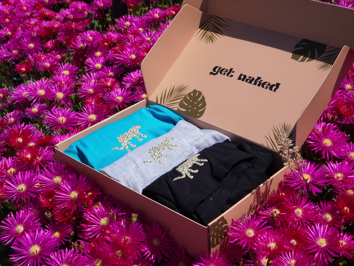Organic Cotton Boxers (3 pack)